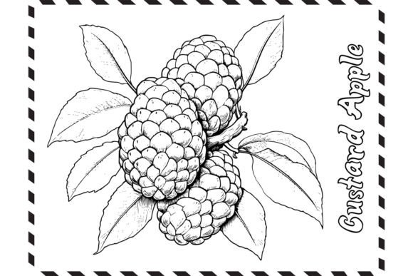 Download Custard Apple Coloring Pages for Kids - Apple coloring pages Collection